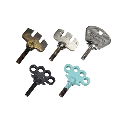 Skeleton key